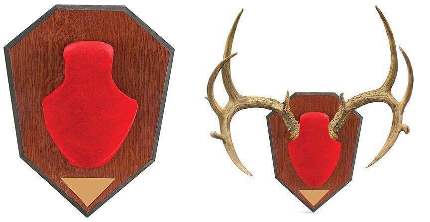 Misc. Accessories Allen Ready Series ANTLER MOUNTING KIT RED SKULL