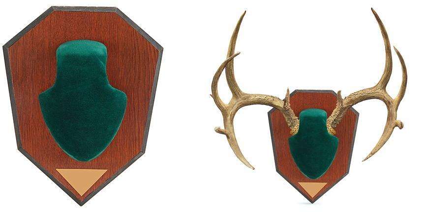 Misc. Accessories Allen Universal ALLEN 562    ANTLER MOUNTING KIT GREEN