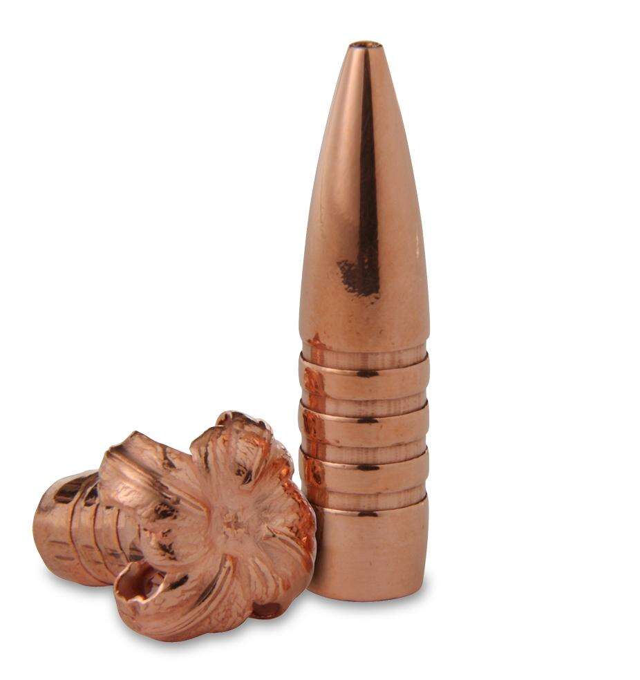 Ammunition Barnes Ready Series BARNES TSX 458 CAL.458 300GR FB 20ct