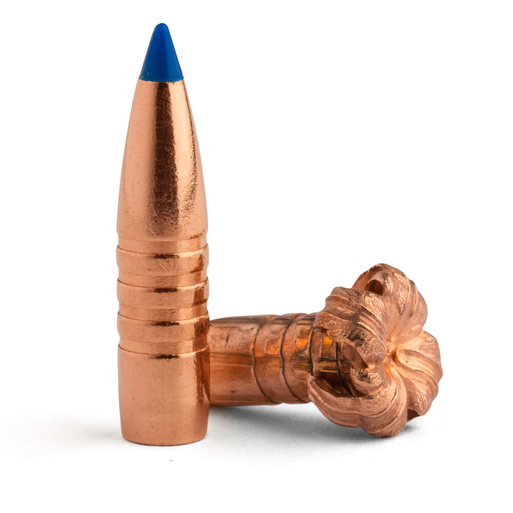 Ammunition Barnes 270Win BRNS 32233 RR270W01     270    110 TTSX BT   20/10 • Model: 