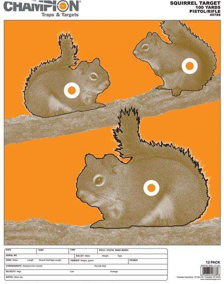 Targets Champion Ready Series SQUIRREL TARGET LARGE 12/PK