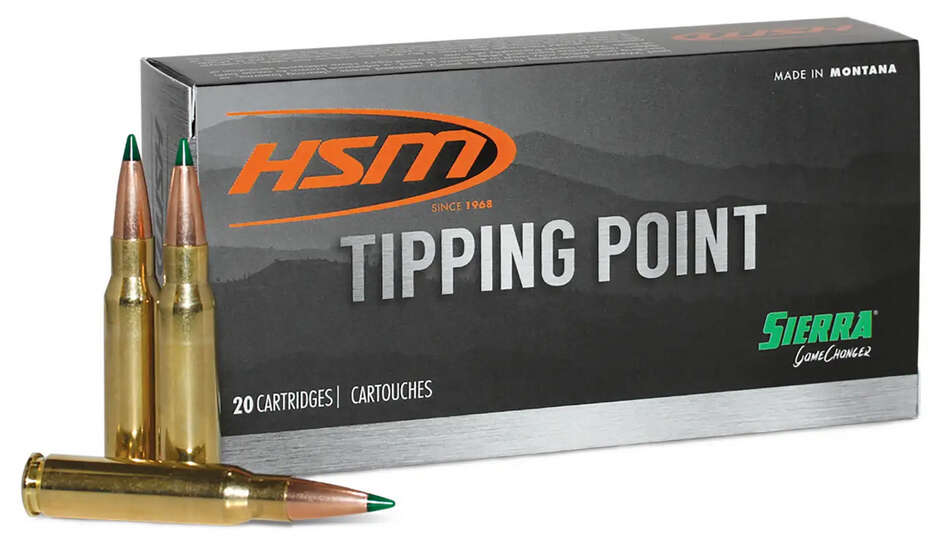 Ammunition HSM ZPAP M85 HSM 6MM ARC 95GR SST TIPPING POINT 2 20/25 • Model: ZPAP M85