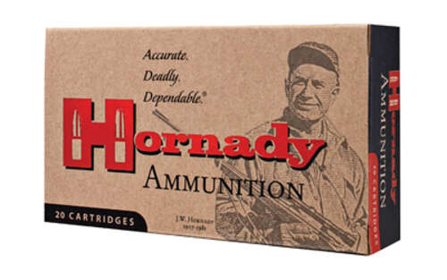 Ammunition Hornady Custom 300Blackout HRNDY 300BLK 110GR CX 20/200