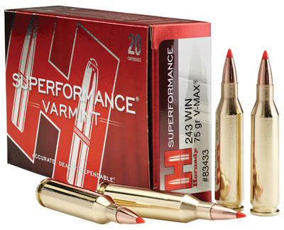 Ammunition Hornady Superformance Varmint 243Win HRNDY SF 243WIN 75GR VMAX 20/200