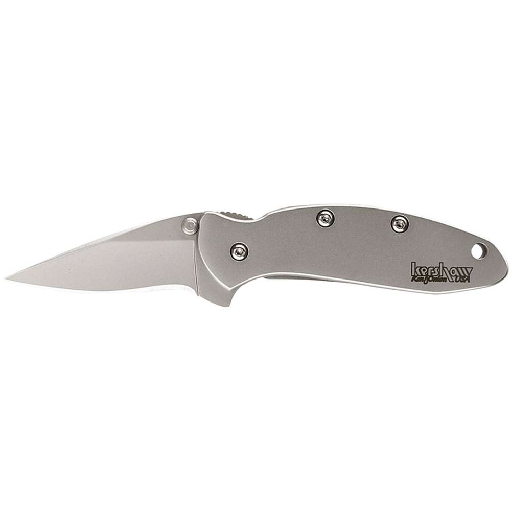 Knives Kershaw Ready Series Kershaw Chive Assisted Opening Knife (1.94" Bead Blast)