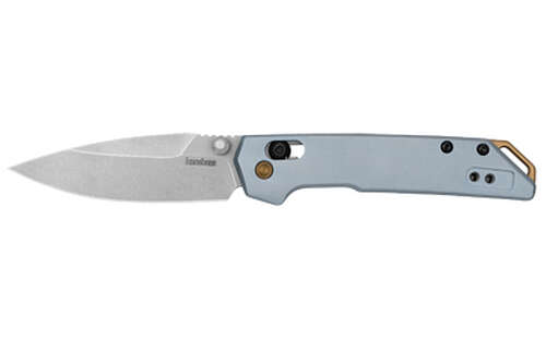 Knives Kershaw MINI IRIDIUM KERSHAW MINI IRIDIUM 3" PLN D2 SLV