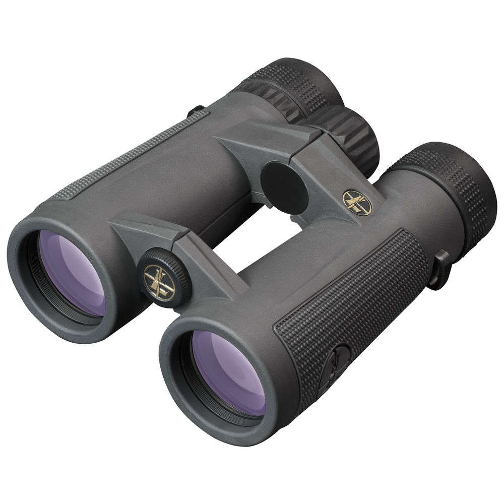 Binoculars Leupold 4.50" BX-5 SANTIAM HD 10X42MM GRAY