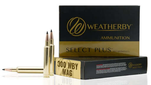 Ammunition Weatherby ZPAP M85 8mm WBY AMMO 300WBY 170GR HAMMER CUSTOM 20/10