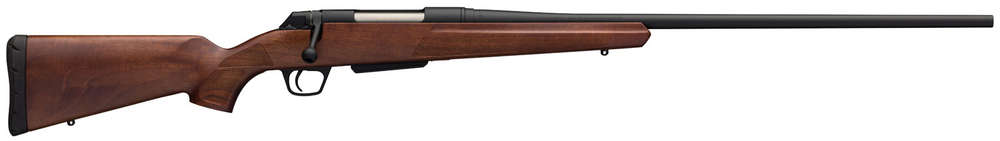 Rifles Long Guns Winchester 3+1 243Win WGUN 535709212 XPR SPORTER     243WIN 22       WAL • Model: 3+1